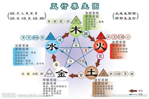 強水 強金|五行相生相剋:五行,四季五行,相生相剋,概念對應,五行數理,五行方。